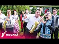 Download Lagu Petrica Brundeanu ❌ Armin si Petrica Nicoara🎷 - Azi e nunta mare - NOU