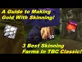 3 Best TBC Skinning Gold Farms How to Make Gold With Skinning in WoW TBC Classic