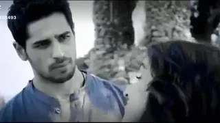 محمود ابو حاتم اميرة  محمود ابو حاتم اميرة