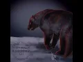 Champion WOLVERINE
