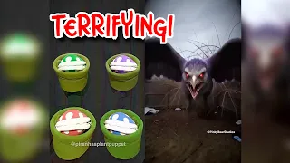 Piranhaa Plants being FRIGHTENED for 20 minutes straight 😨🦅
