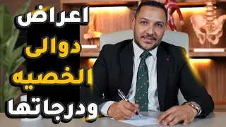 اعراض دوالى الخصيه ودرجاتها دكتور أحمد حسن سليمان 