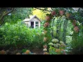 Download Lagu Fall Garden Walk n' Talk / Panicle Hydrangeas, Hyacinth Bean Vine, White Sunflowers, Malabar Spinach