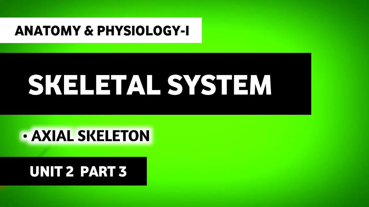 Axial Skeleton | Skeletal System | Human Anatomy And Physiology | HAP | B Pharma First Semester