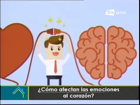 ¿Cómo afectan las emociones al corazón?