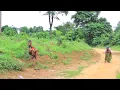 Download Lagu If U Don’t Have A Heart, This SAD Touching Village Movie Will Make U Cry-African Movies