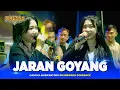 Download Lagu JARAN GOYANG - Cantika Nuswantoro OM NIRWANA COMEBACK Live Megaluh JOMBANG