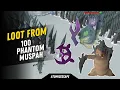 Loot From 100 KC Phantom Muspah - Venator Shard here we come