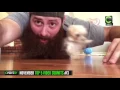 Top 5 User Submitted s Of November