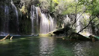 Download Air terjun di tengah hutan disertai suara burung yang indah MP3