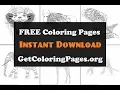 zen coloring page free printable