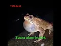 Download Lagu Suara Kodok indah