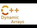 Dynamic Arrays in C std vector