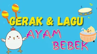 Download Lagu Ayam \u0026 Bebek | \ MP3