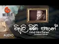 Lagu Viduli Mini Pahan ( විදුලී මිණි පහන් ) | Gunadasa Kapuge | Sinhala Songs