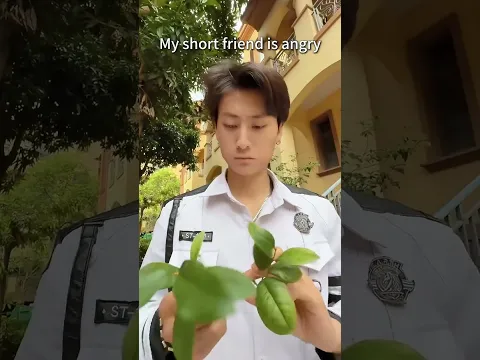 她太矮了，哈哈