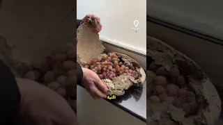 ق باب طينية تحفظ العنب طازجا كأن ه ق طف للتو حفظ العنب تقنية قديمة قباب طينية طرق التخزين 