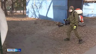 Территорию парка 30-летия ВЛКСМ сегодня начнут обрабатывать от клещей