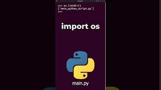 Renaming Files with Python