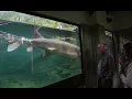 Bonneville Dam