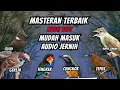 Download Lagu Masteran Burung Fighter Full Isian Tembakan Kasar Panjang