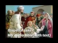 Luke 7 NIV Bible with text