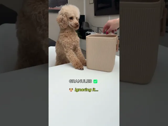 PAW CUBO GRANDE video thumbnail