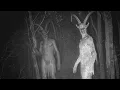 Lagu Top 10 Cryptids Caught Clearly on Camera in 2025
