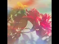 청혼 (inst.) - Sugarbowl