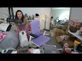 Alinity throws another cat