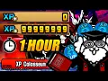The Battle Cats - How to get 99 Millions XP within an Hour XP Colosseum farming