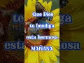 Buenos Dias Feliz viernes