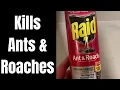 Raid Ant Roach Spray