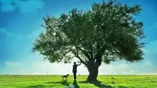           دندنها