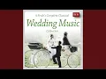 Download Lagu Sheep May Safely Graze, from Cantata BWV 208: Andante