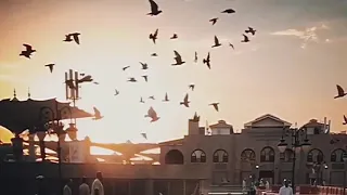                                                                            دندنها