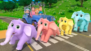 Baby Lala Meets 10 Giant Friendly Elephants on Safari! | Baby songs | Nursery Rhymes & Kids Songs