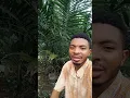 Download Lagu Memeriksa Pohon Kelapa Sawit Saya Setelah Empat Bulan Menggunakan Pupuk