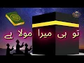 Tu Hi Mera Raazdaan Hai | Heart Touching Hamd 2026 | Hamd Sharif | Hamd 2026 | Hamd Sharid 2026
