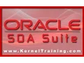 Oracle SOA Suite Tutorial Learn From Oracle SOA Expert