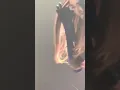 Download Lagu Madison Beer | Life Support Tour April 28 2022 Oslo | Everything Happens For a Reason