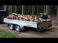 Download Lagu HOUBY 2025 - OBROVSKÉ Hřiby po dešti rostou jako šílené! Tohle jste ještě neviděli ! Plné koše hřibů