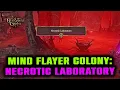Mind Flayer Colony Necrotic Laboratory Complete Guide - Puzzle Secrets