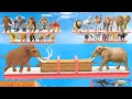 Download Lagu Which Animal Woolly Mammoth Vs Giant Elephant Push Harder? Which Mammal is Stronger? ARBS
