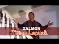 Download Lagu ZALMON -  TITIAN LAPUAK