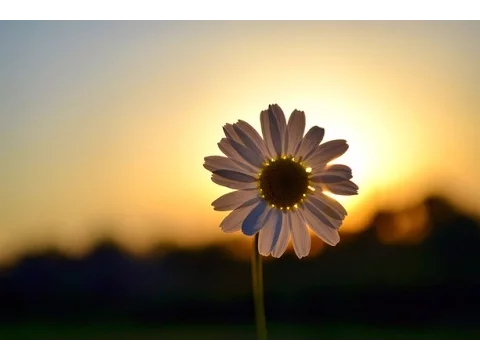 Modern Classical 3 -- Ambient & Modern Classical Mix (Helios, Luke Howard, Hior Chronik)