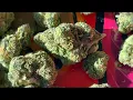 White Runtz Strain Review