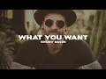 Vincent Mason - What You Want (Lyrics)