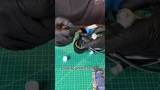 Day 265 of fixing up our sailboat home