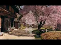 Download Lagu 【中山道の桜】馬籠から妻籠への道のり :【Samurai Trail】Walking the Nakasendo from Magome to Tsumago（Gifu-Nagano, Japan）
